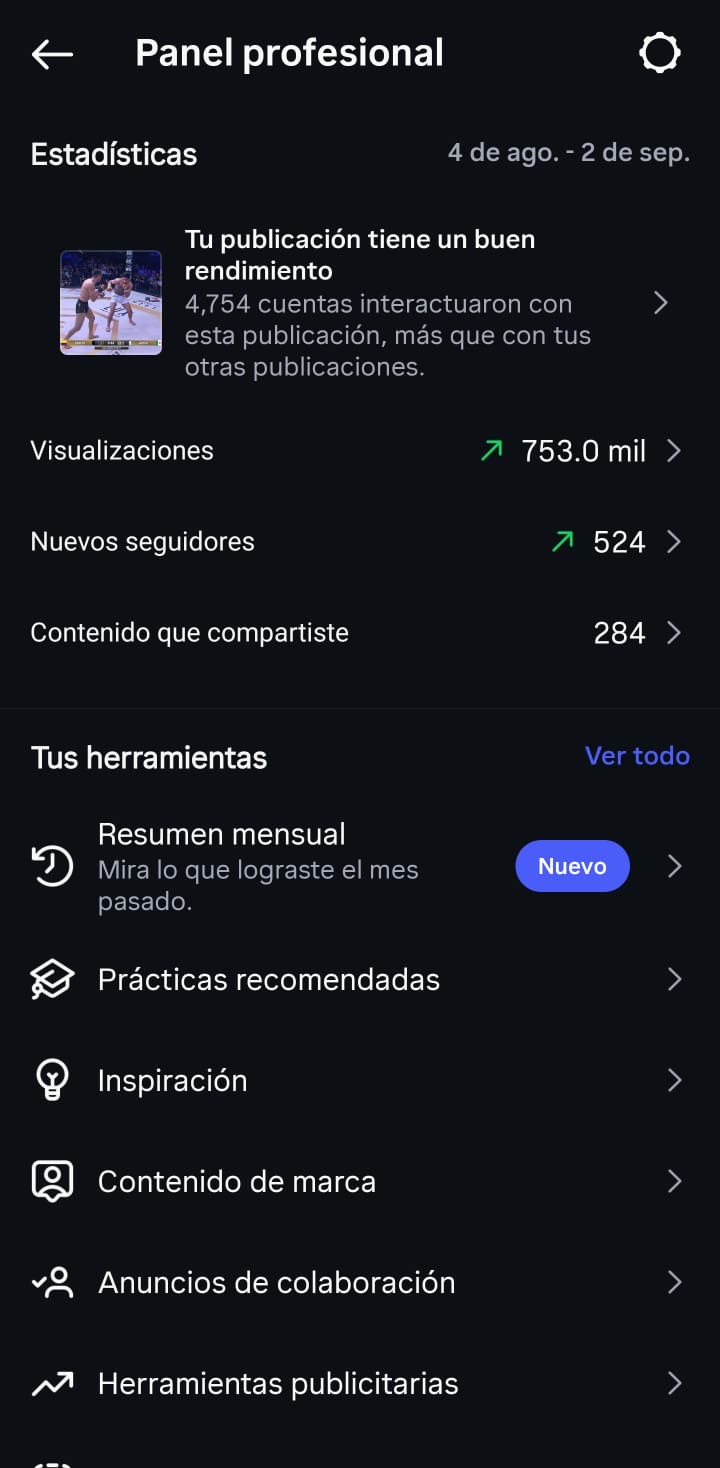 Visualizaciones